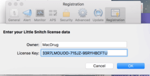 Little Snitch Crack 4.5.2 Keygen + License Key Latest [Torrent] 2020